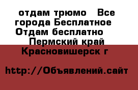 отдам трюмо - Все города Бесплатное » Отдам бесплатно   . Пермский край,Красновишерск г.